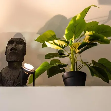 Apartment Le Nid - Centre - Climatise