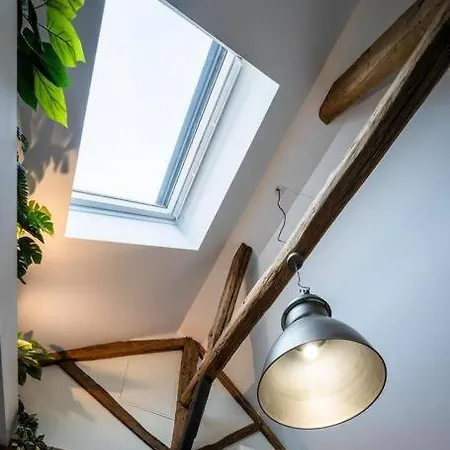 Le Nid - Centre - Climatise